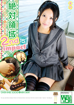 【ソックス】絶対領域 2nd impact volume15