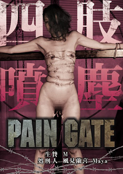 【SM】PAIN GATE 四肢噴塵