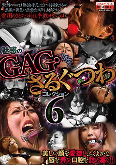 【緊縛】魅惑のGAG・さるぐつわコレクション6